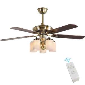 FINXIN Indoor Ceiling Fan Light