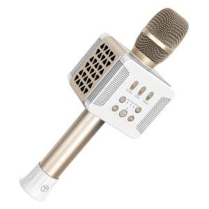 TOSING 016 Wireless 20W Bluetooth Karaoke Microphone