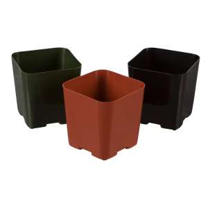 WH Garden Supply Pack of 2 Inch Plastic Flower Pots