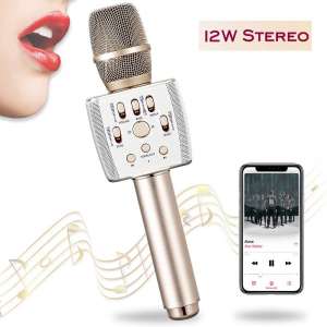 Plafnio Dual Speaker 12W Bluetooth Karaoke Microphone