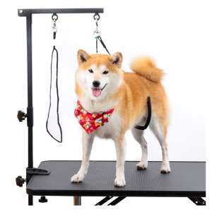 Breeze Touch Dog Grooming Table