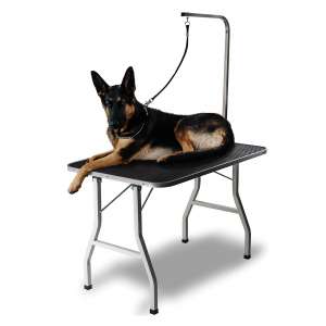 Paws & Pals Store Grooming Table for Dogs