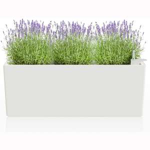 Self Watering Planter, Window Box - Modern Decorative Flower Pot for All House Plants Flowers and Herbs - White Garden Pot for Indoor Use