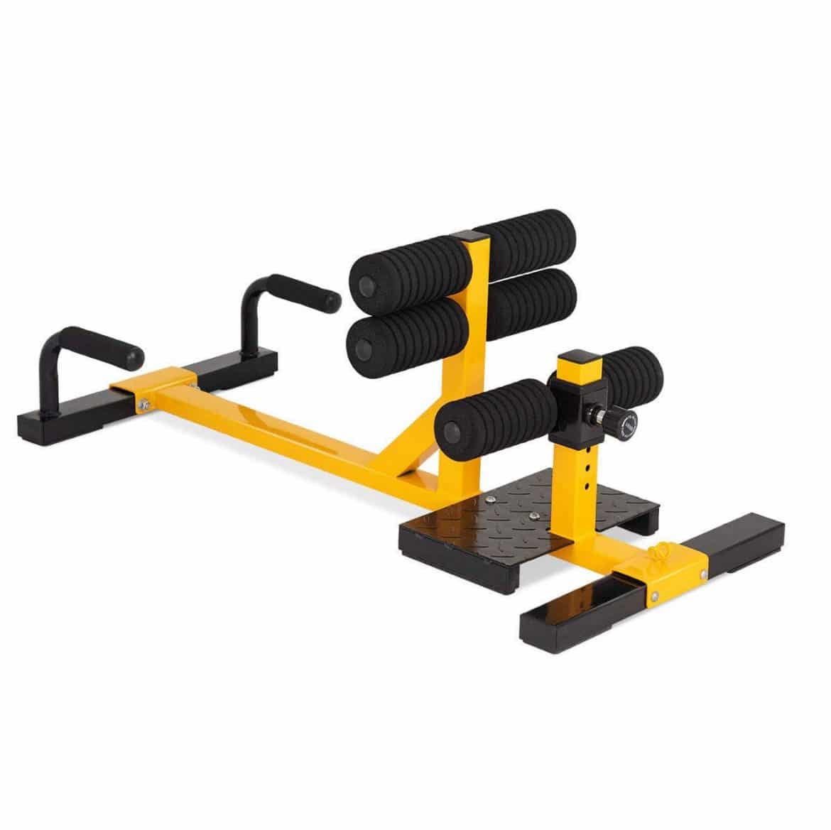 The 10 Best Sissy Squat Machines In 2023 Reviews 
